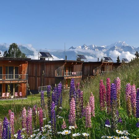 里艾奎勒格瑞维木屋酒店 Les Arcs  外观 照片